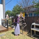 울엄마손메밀묵집 | 건강밥상 "울엄마손메밀묵집"