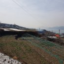 김병석공인중개사사무소 이미지