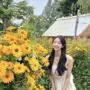 김종국춘천닭갈비 | [7월/춘천] 뉴질랜드를 그리워하다 춘질랜드로 떠난...인생숙소🏡 / 스테이폴리오 / 또간집 학곡리 닭갈비