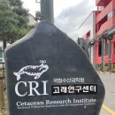 고래당구장 이미지