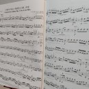 바이올린 중급반 이미지