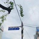 오동동167 이미지