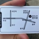 정자나무 이미지