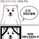 트랜스바디짐 이미지