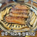 양주 고기 맛집ㅣ덕고개 정육식당 본점 재방문 후기 내 돈 내산 삼숭동 맛집