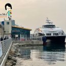 E 모텔 | [울릉도] 개별여행 준비 - 배편예약(강릉/후포/포항)