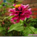 산천초목 이미지