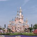 에이포 인터내셔날 | 디즈니 월드 인턴 최종면접 Disney International College Program