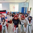 청운태권도체육관 이미지