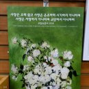 임마누엘기독 이미지