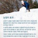 동읍610 이미지