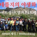 공원마트 이미지