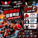 레드윙 복싱 네이버블로그