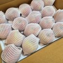 영주농장 | 크라운사과 : 영주 사과 후기 ♩ 못난이 부사사과 5kg