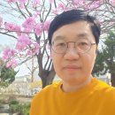 알리바바공인중개사사무소 이미지