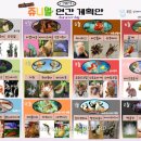 쥬니멀 이미지