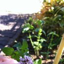 누리허브 이미지