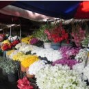 [필리핀어학연수]필리핀 바콜로드 이룸어학원 아야카의 연수후기-꽃가게 이미지