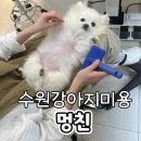 멍친 이미지