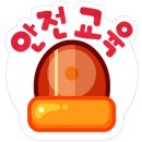 용인대 더 레전드 태권도장 이미지