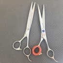 베리애견미용 이미지