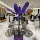 동서농장 이미지