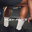 플렉스스포츠 이미지