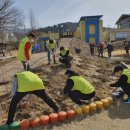 조종면 행정복지센터 이미지