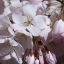 산성로L 이미지