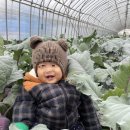 대불농장 이미지