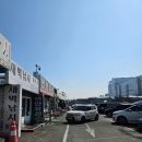 은아식당 | 인천 봄쭈꾸미낚시 (은아낚시_오후배) 3월후기