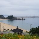 동해행정사사무소 | 동해바다 -쏠비치 삼척