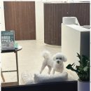 그루밍온 이미지