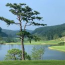 세현골프존 이미지