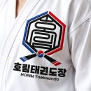 호림태권도장 네이버블로그