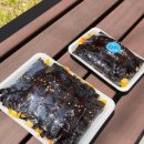 역전꼬마김밥 이미지