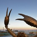 GR(영덕군)-[영덕로]-상-11 | 영덕 1인 15,000원 정식 대박집 발견! ‘밥한끼’ 솔직 리뷰