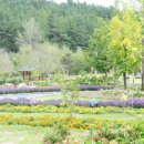 평화공원 이미지