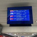 스위스약국 | [스위스 여행] 프랑스 리옹 - 스위스 로잔 기차 이동 후기 / 캐리어 보관