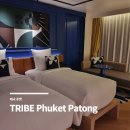 트라이브 | 태국 푸켓여행 | 빠통 신상 호텔 트라이브 푸켓 빠통 호텔 솔직 후기