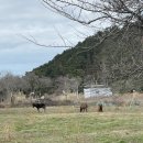 천금목장 이미지