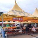 페들에스 | 강원도 래프팅 할인 추천 뭉쳐야 찬다 어쩌다 FC도 체험