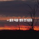 특선 다큐멘터리(삶과 죽음:생의 한가운데) 이미지