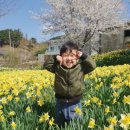 다정어린이집 이미지