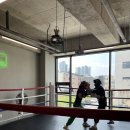 NNN BOXING 이미지