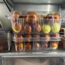 윤하농장 이미지