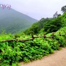 💞추억속의 명산 영상(888) 인천-부평 계양산 천마산 답사 🕵��‍♂️💞 이미지