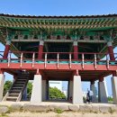 서천 마량리 동백나무 숲 이미지