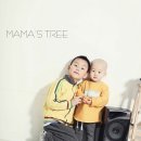 곡성당 이미지
