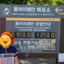 안덕면 용머리 공영주차장 입구 네이버블로그